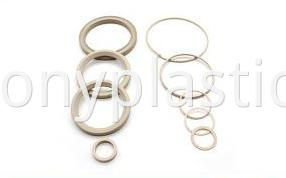 PEEK valve seals-2